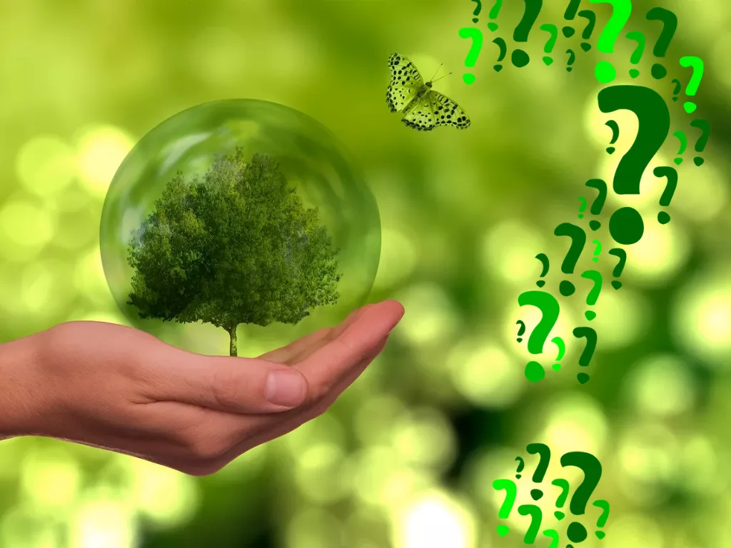 Bild Sustainable Namen neu Bild Sustainable Namen neu