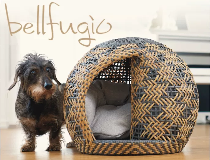 bellfugio1 bellfugio1