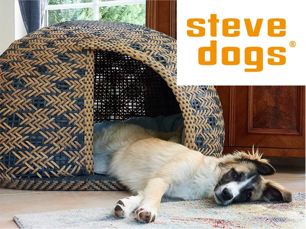 Stevedogs Neu Stevedogs Neu